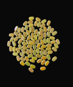 Flat Oval Double Shaded Acrylic Beads - Yellow