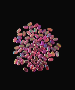 Flat Oval Double Shaded Acrylic Beads - Dark Pink